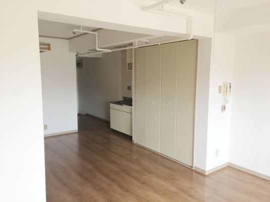 キッチンや大型の収納スペースが付いた居室。フローリングの段差のない部屋。