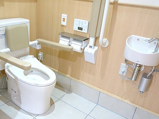 背もたれや手すりが付いたトイレ。壁には操作ボタンや呼び出しボタンが付いている。