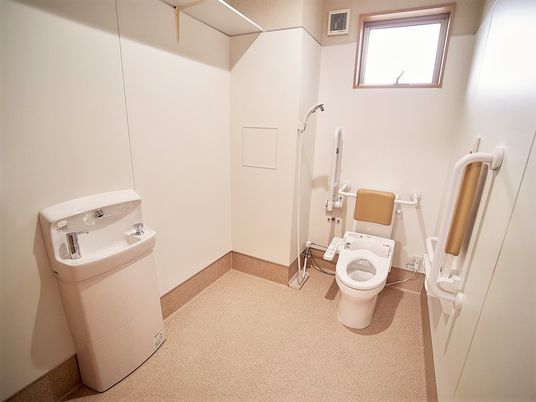 車いすのまま入れる広さのトイレの様子。手前に洗面台がついている