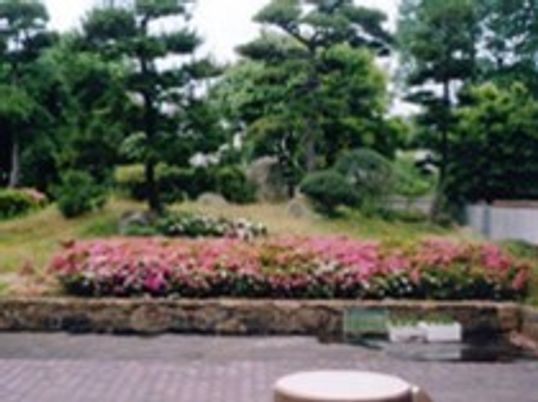 ピンクや白の花がたくさん植えられている庭には背の高い木もたくさんあり、手前にはテーブルもある。