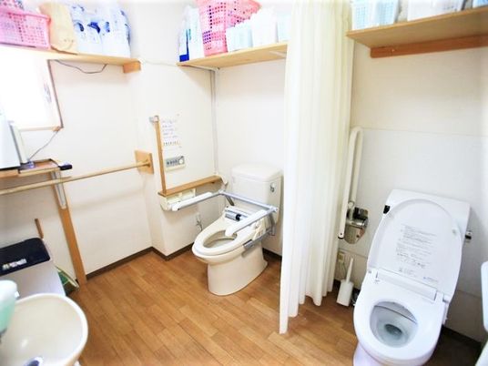 トイレは二つ並び、それぞれに手すりが付き、カーテンで仕切ることができるタイプ。
