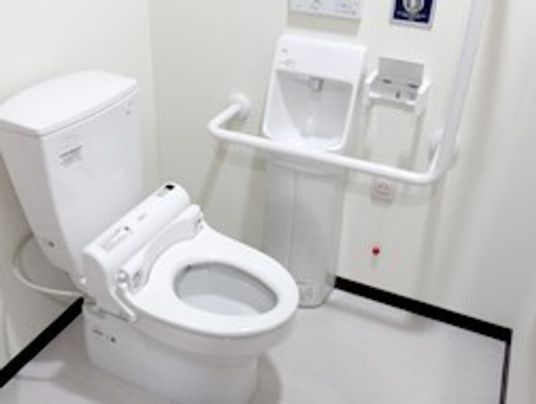 ふたなしの便座が設置され、手洗い場や呼び出しボタンはトイレットペーパーホルダーのそばにある。