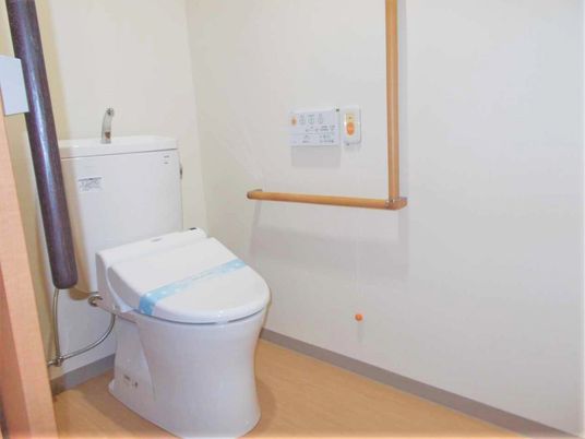 壁にL字型の手すりが取り付けられているトイレ。車いすのまま入れるタイプのトイレの写真