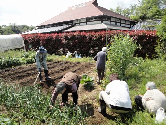 ホームのそばの畑で作業をしている入居者たち。きれいな畝ができている。