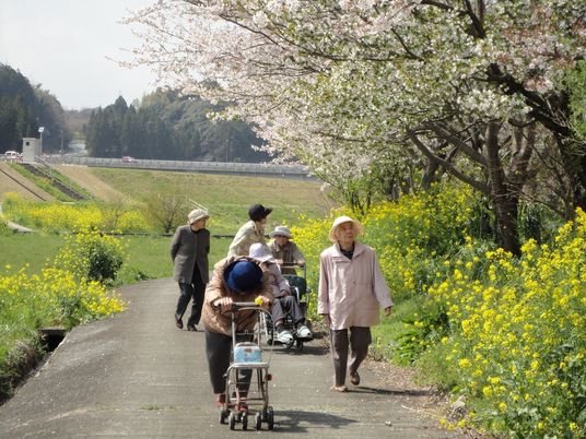 桜の花や菜の花を見ながら散歩を楽しむ入居者たち。車いすの入居者もいる。