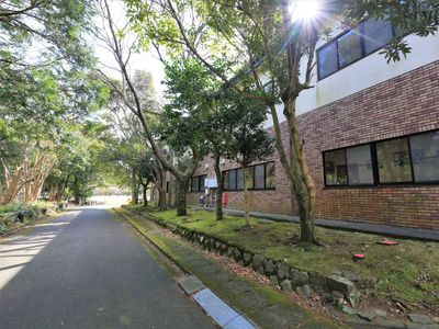 緑豊かな施設の外観