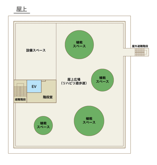広々とした屋上スペース