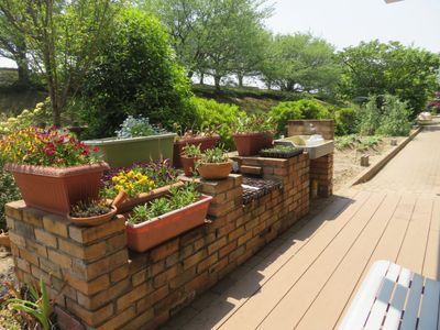 植物が飾られたテラス