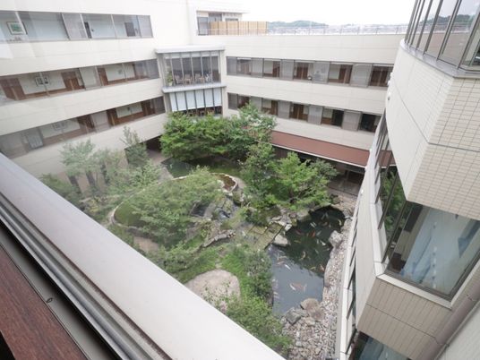 緑豊かな中庭の眺望