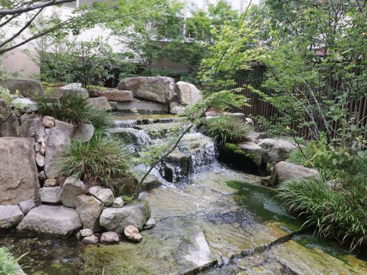 緑豊かな庭の風景