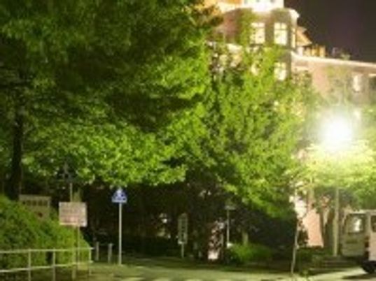夜の緑豊かな外観