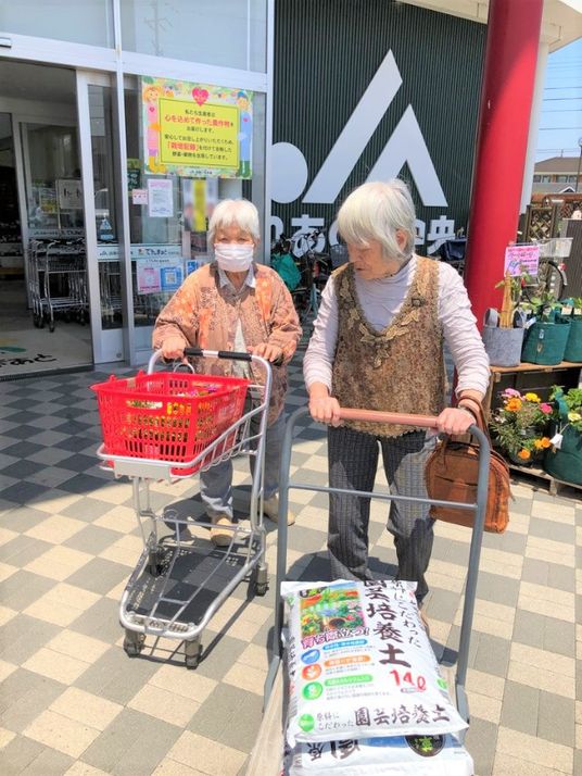 高齢者の日常活動