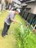 庭の植物に水をやる人