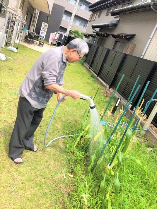 庭の植物に水をやる人