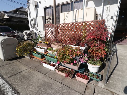 花々が鮮やかな玄関前