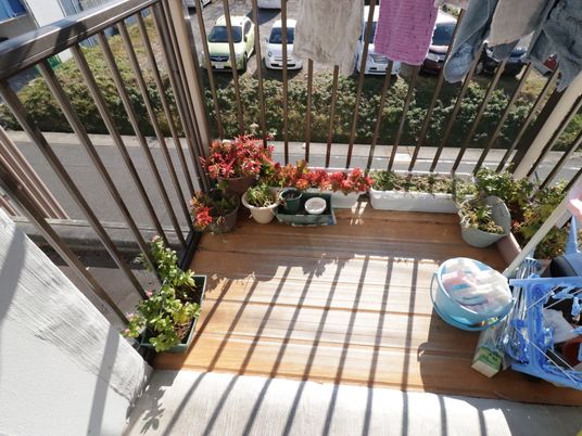 ベランダの植物と日用品
