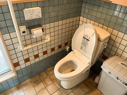 手すり付きトイレの内観