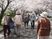桜並木を散歩する人々