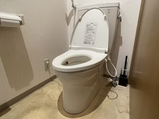 機能的なトイレ
