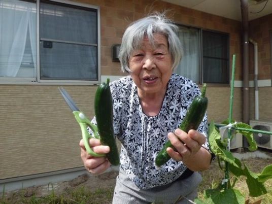 笑顔のおばあさんと野菜