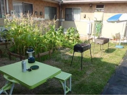 中庭の植物と家具
