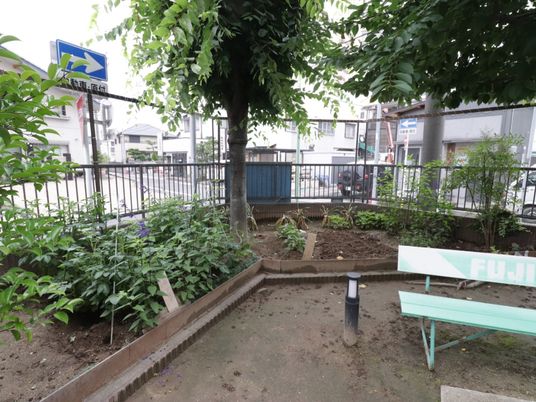 心地良い緑の中庭