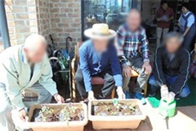 植栽を楽しむ中庭