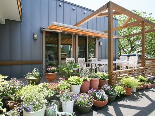 屋外テラスと植物