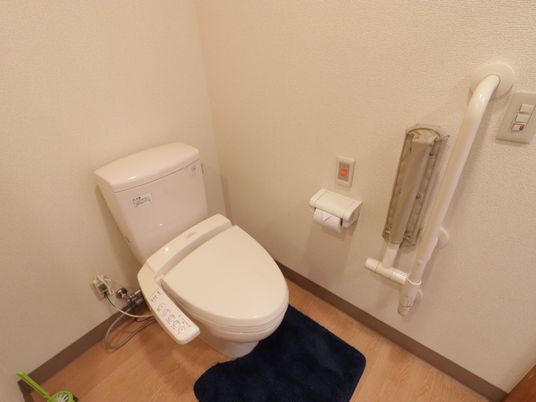 手すり付きトイレ空間