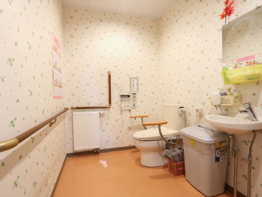 手すり付きトイレの様子