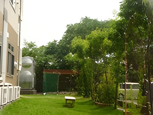 緑豊かな風景の庭