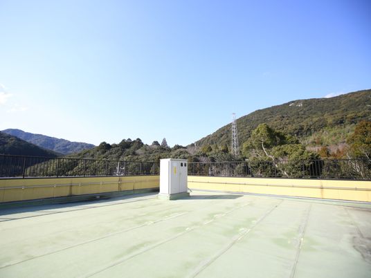 緑豊かな中庭の風景