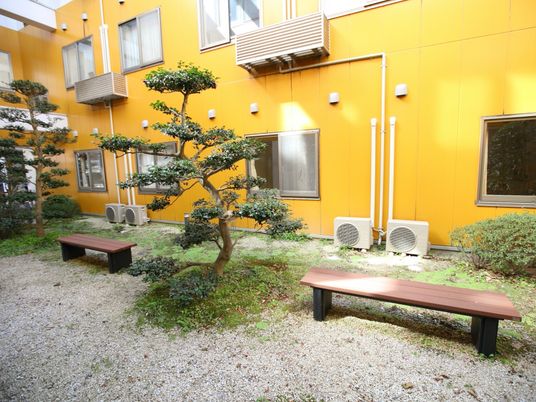 中庭の緑とベンチ