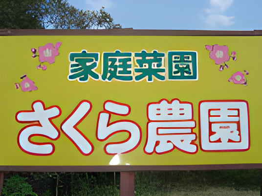 華やかな看板