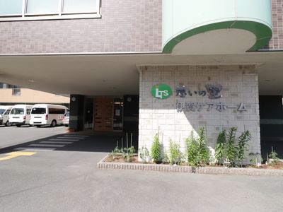 エントランスと植物