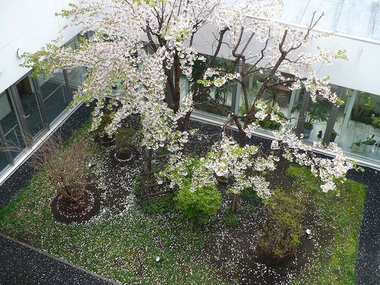 春の中庭の景色
