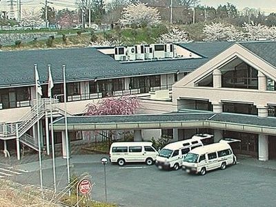 桜が咲く建物の外観
