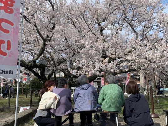 桜の下でくつろぐ人たち