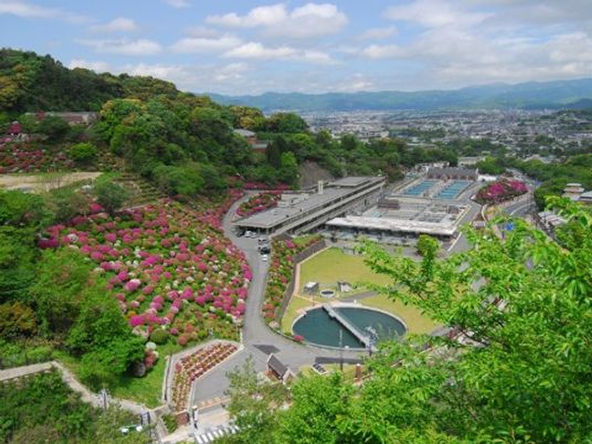 緑豊かな中庭の景観