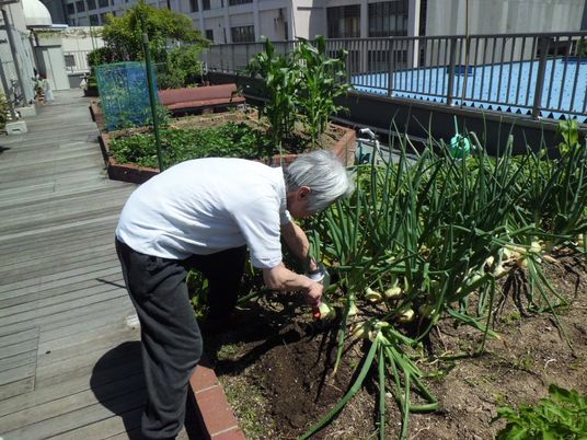 高齢者の園芸活動