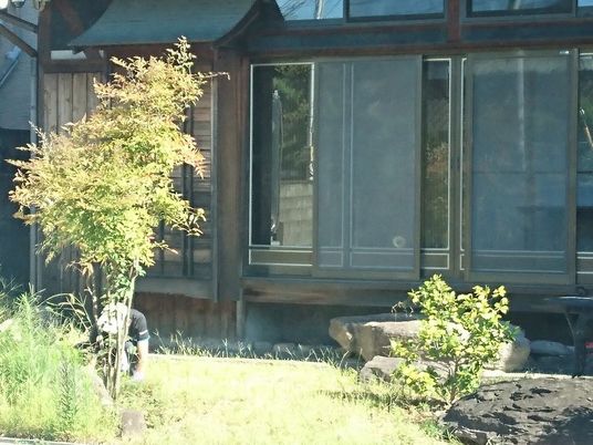 木々に囲まれた建物前