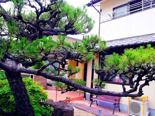 緑豊かな中庭の風景