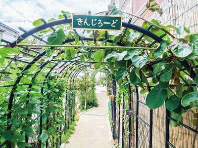 緑いっぱいの小道