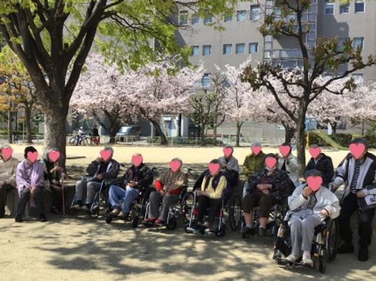 桜の下での交流