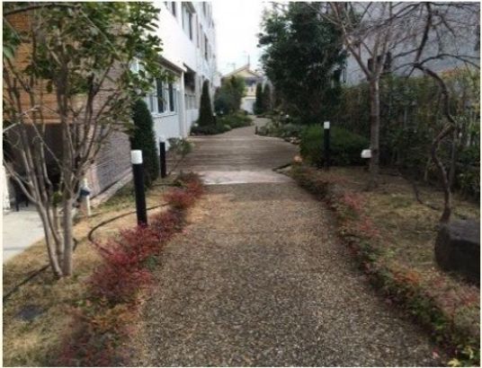 中庭の緑あふれる景色