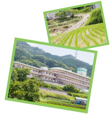 緑に囲まれた建物