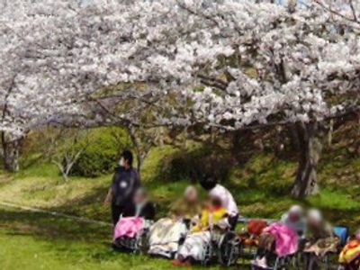 桜の下で休息する人々