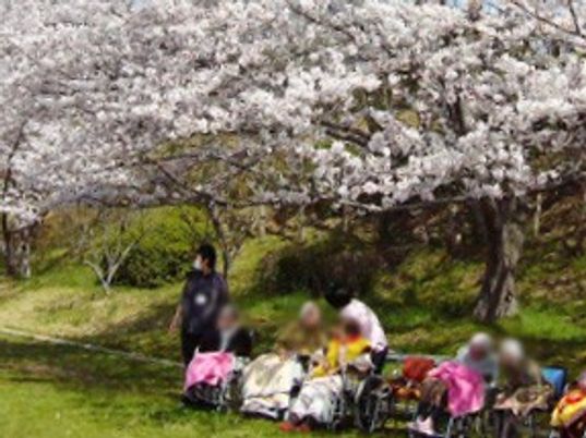 桜の下で休息する人々
