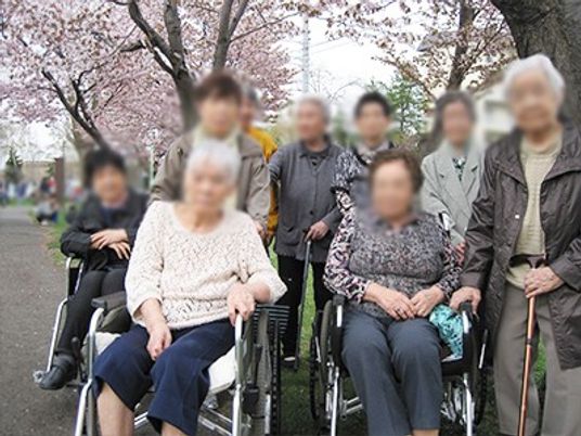 桜並木の散策