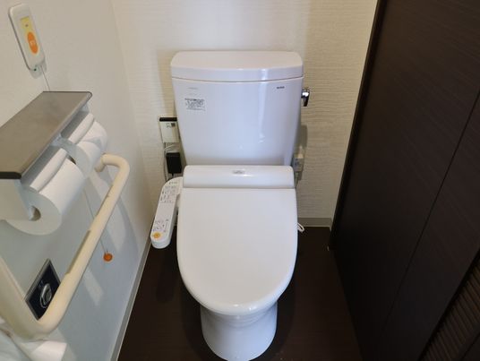 手すり付き清潔なトイレ